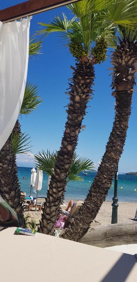 Malibu Summer Dassia (Corfu)